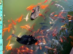 -春晖园度假酒店温泉