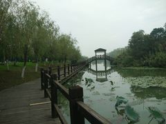 -艾溪湖湿地公园