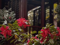 -深圳国际园林花卉博览园