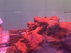 -秦氏环球炸鸡(解放北路店)