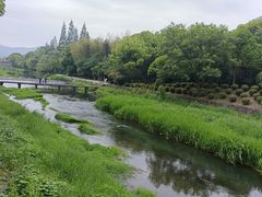 -兰亭风景区