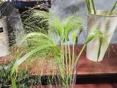 -何兮花店·气球派对鲜花店(马桥银春路万科城店)