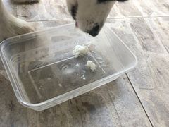 -芋香缘tarosweet(1天地店)