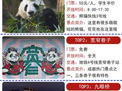 -成都大熊猫繁育研究基地