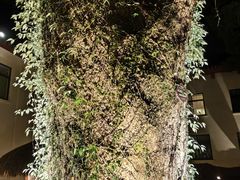 -普陀山雷迪森庄园