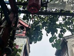 -陈记卤煮小肠