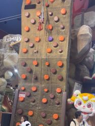 -卡通尼·Safari非洲探索乐园·生日会(金桥国际商业广场店)