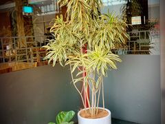 -故宫餐厅(景运门店)