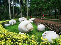 -荔香公园