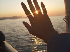 -演武大桥观景平台