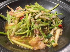 砂锅水芹菜-湘聚缘湘菜馆(斜土路店)