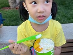 -Salud撒露欧洲冻酸奶(蓝色港湾店)