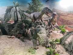 -国家自然博物馆