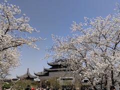 -苏州上方山国家森林公园