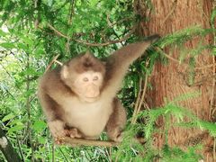 -西岭雪山大飞水景区
