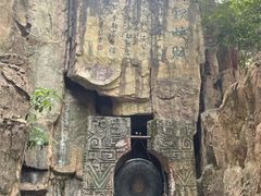 -铁山坪森林公园