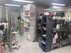 -达爱动物医院·犬猫分区·CT·复杂眼科(远洋山水分院)