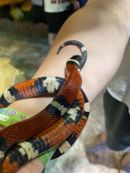 -酷嗒动物文化乐园(cutezoo西溪乐天城店)