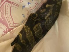 -南沙十九涌渔人码头-南门