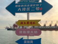 -招商蛇口邮轮母港(观光客运)