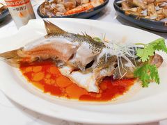 -T11生鲜超市(朝阳公园店)
