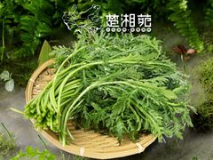 -楚湘苑(商品街大道店)