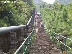 -四明山国家森林公园
