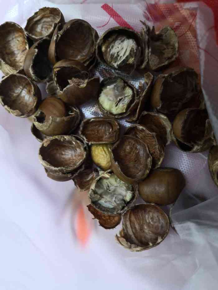 绝对不是迁西板栗!千万."-大众点评移动版