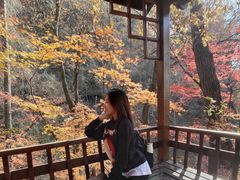 -天女山森林公园
