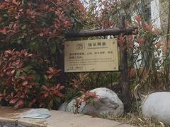 -汤山一号温泉度假区