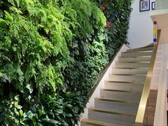 -Peet's Coffee皮爷咖啡(大学路店)