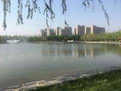 -五环公园