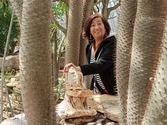 -北京植物园-展览温室