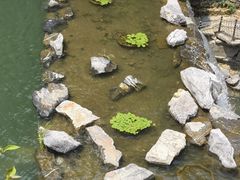 -古龙峡漂流
