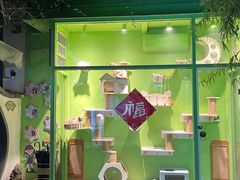 -蔡田福佛跳墙(官驿街店)