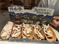 -芸山季·云南山珍菌火锅(南翔印象城MEGA店)