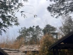 -崇阳三特浪口温泉