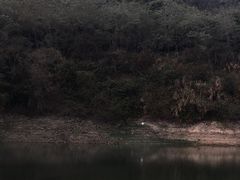 -清溪森林公园