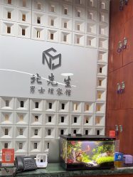 -风生造型