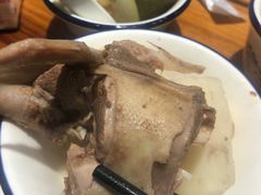 -南海鸽天下(肇庆店)