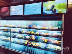 陈列冰箱-J Eleven型人坊旗舰店