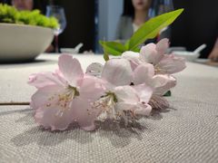 -子福慧(虹桥店)