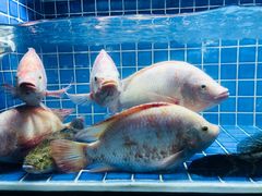 -徐记海鲜(汉城湖|太奥店)