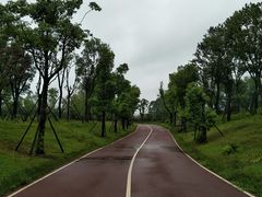 -白鹭湾湿地公园