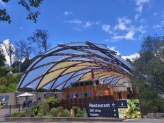 -怀托摩萤火虫洞