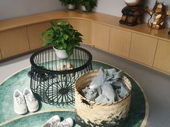-飞行喵MR PILOT|猫舍·猫咖(静安大融城店)