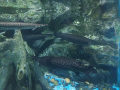 -锦艺城海洋馆