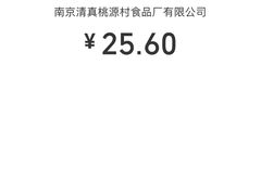 -桃源村(白下路店)