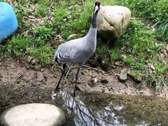 -常州淹城野生动物世界