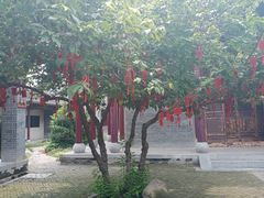 -花洲书院